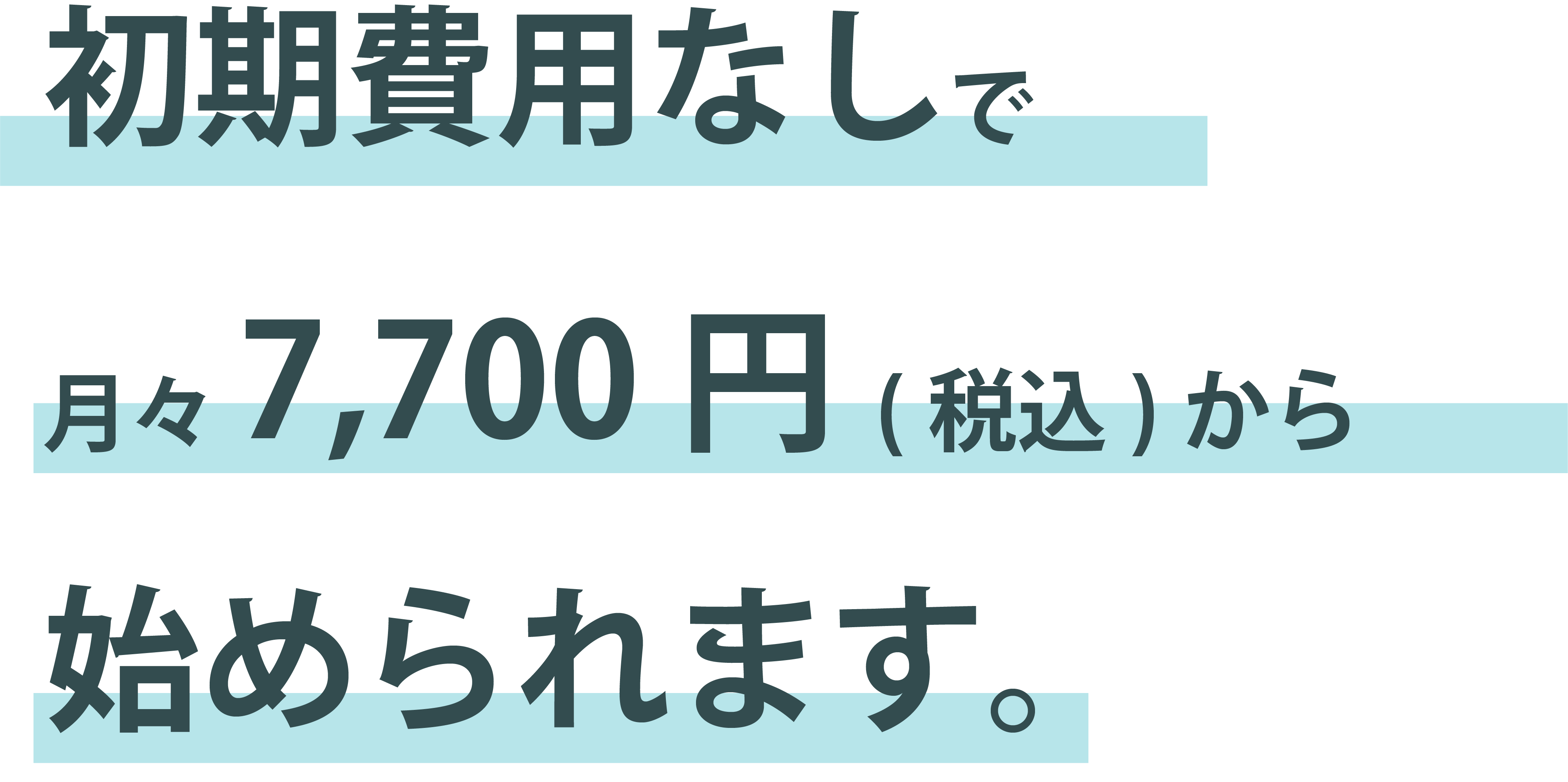 価格説明テキスト